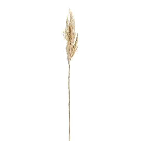 branche décorative DRIED-GRASS