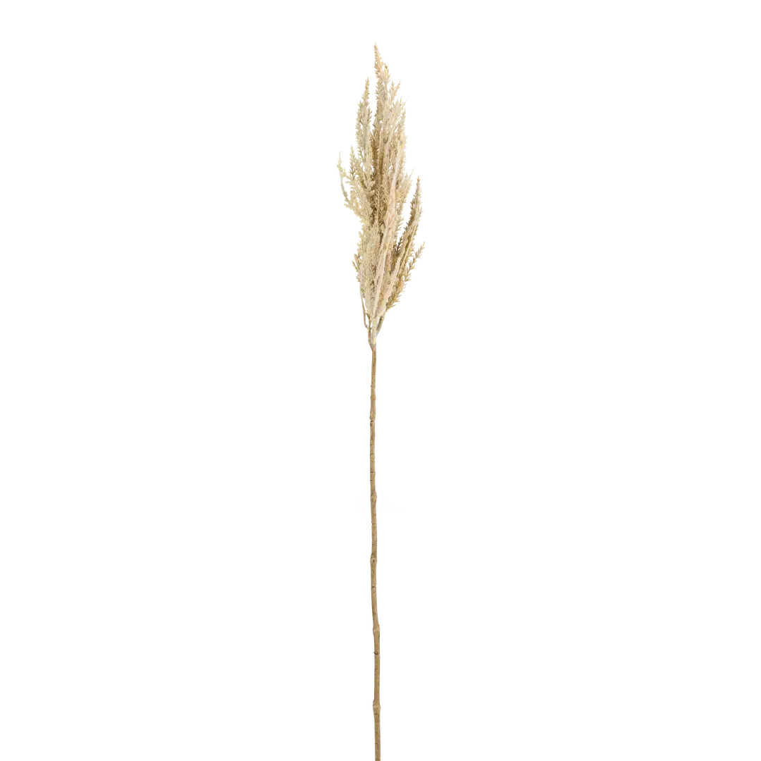 ramo decorativo Dried-Grass