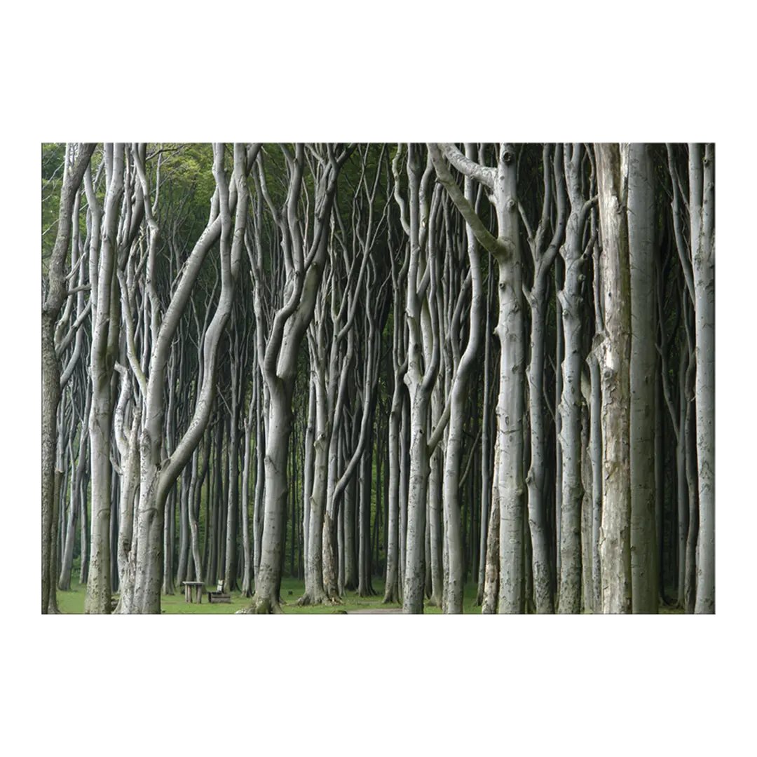 Tableau sur toile ARVEN