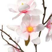 Kunstblume Magnolia