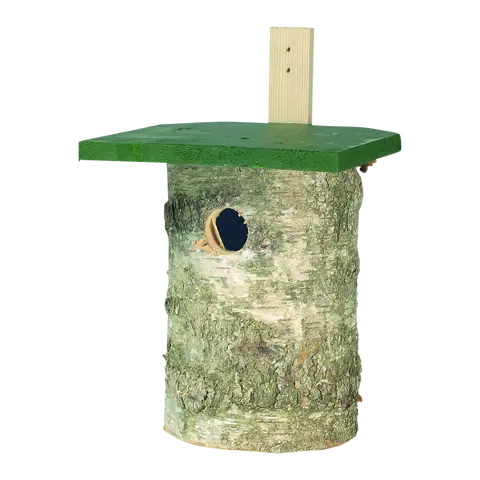 Nistkasten Birke