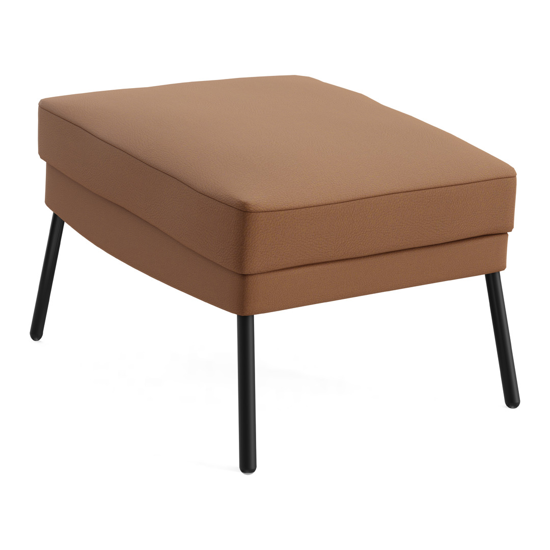 Hocker Alex
