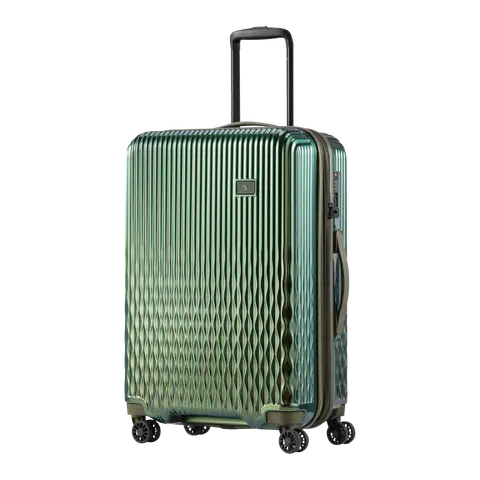 Trolley-Koffer Flow
