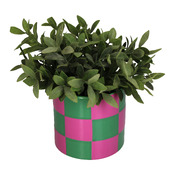coprivaso Blocks