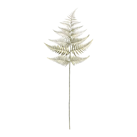 Dekozweig Exotica