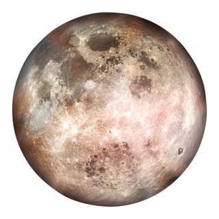 Kurzflorteppich Mooon