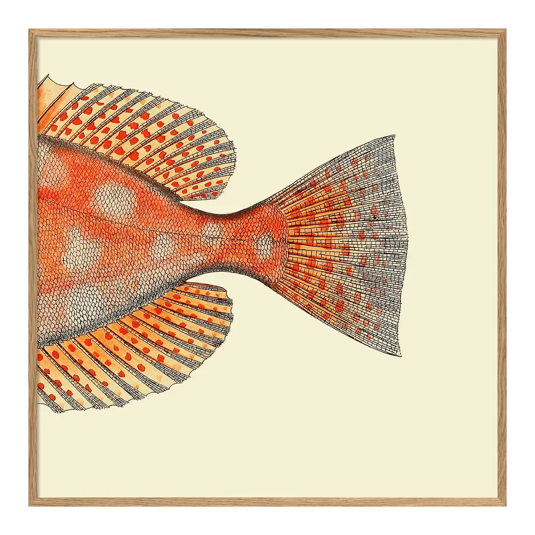 Quadro con cornice BOTANICAL