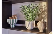 ciotole decorativo Toppu