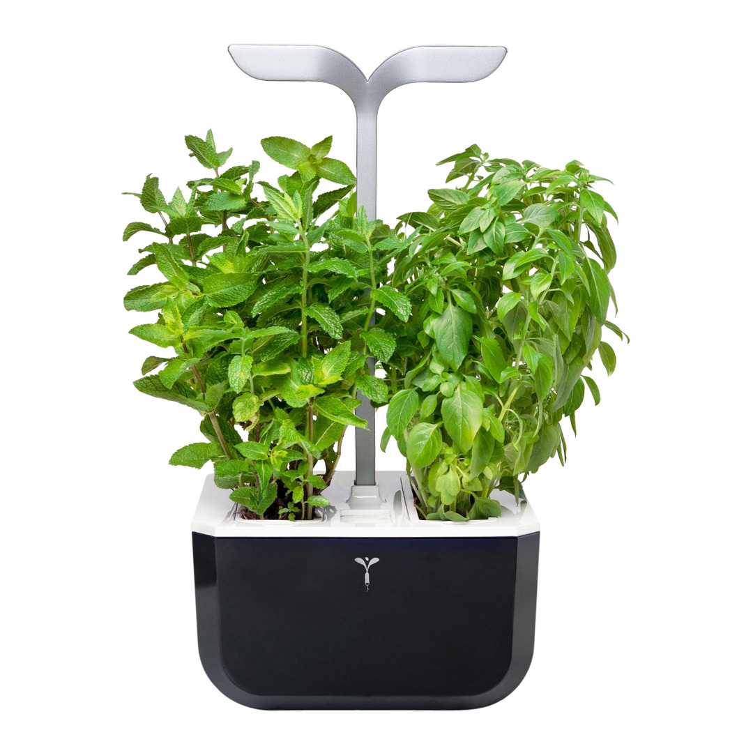 vaso per erbe Exky Smart