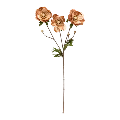 branche décorative Exotica
