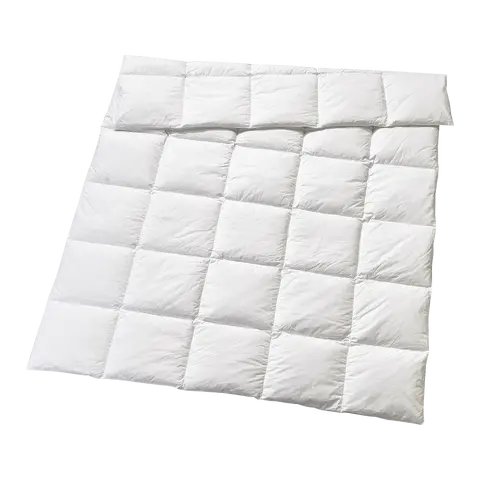 piumini Lara medium