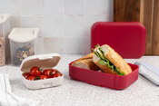 Lunch-Box Basic