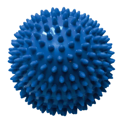 Spikeball Blau