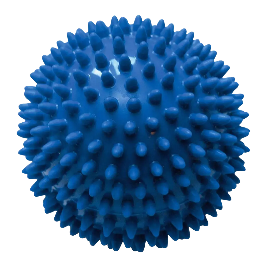 Spikeball Blau