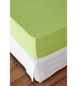 foglio fisso per boxspring Feinjersey