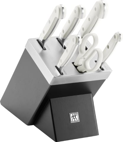 bloc de couteaux Pro