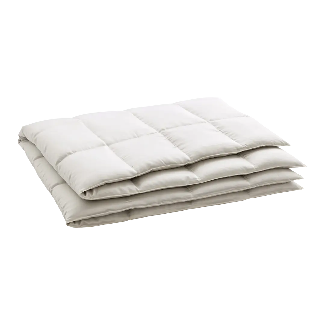duvet Eider Caro