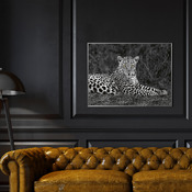 stampa d'arte Artprint