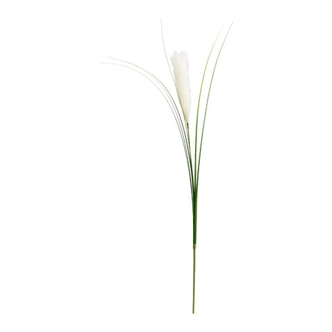 branche décorative Dried-Grass