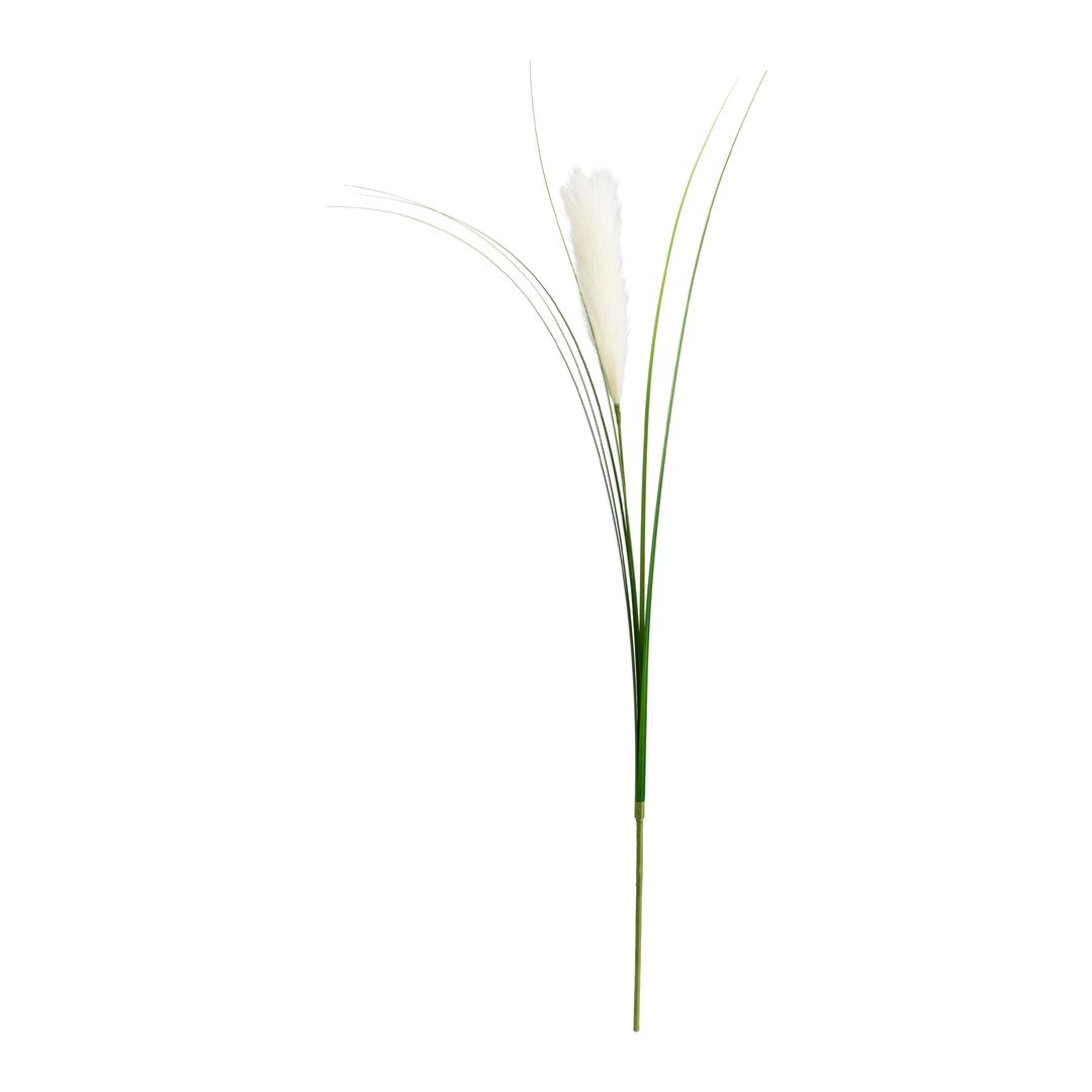 branche décorative Dried-Grass
