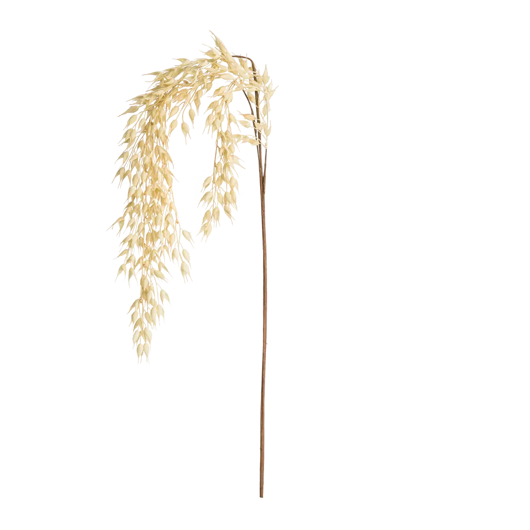 branche décorative Tulum