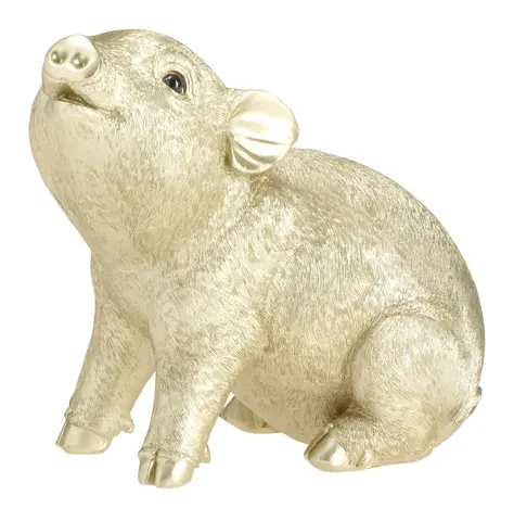 Kässeli Piggy