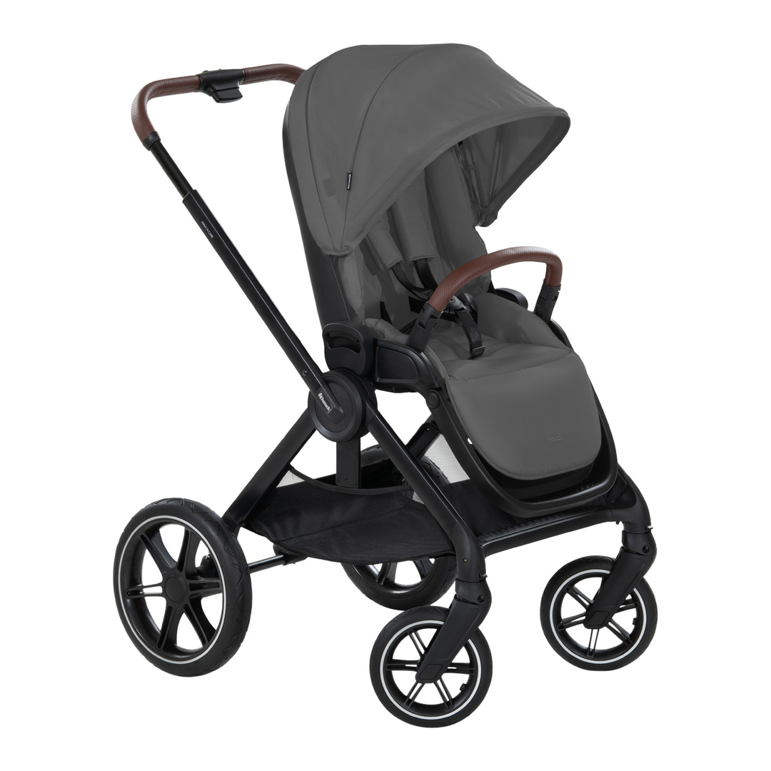 carrozzina Walk N Care