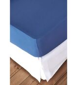 mollettone fisso ALBANY