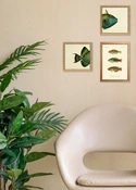 Tableau avec cadre BOTANICAL