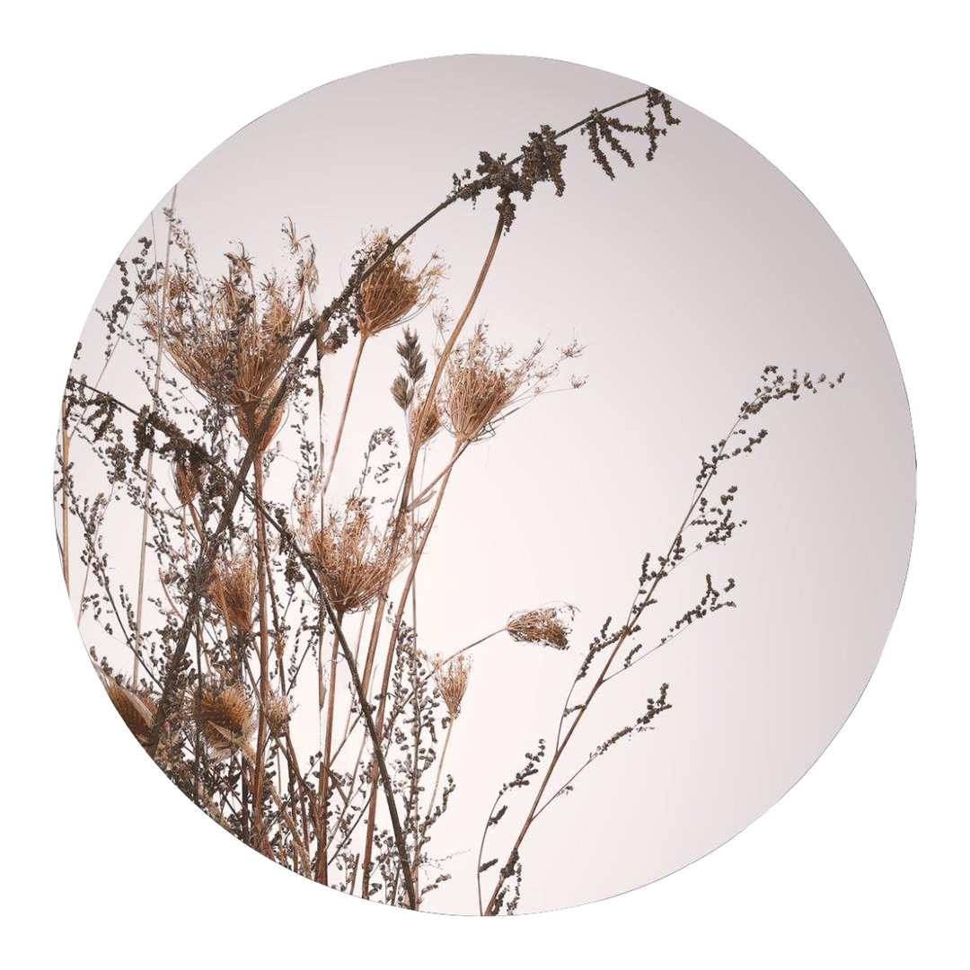 stampa d'arte CIRCLE