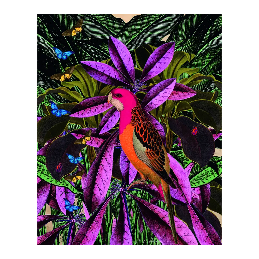 Kunstdruck Artprint