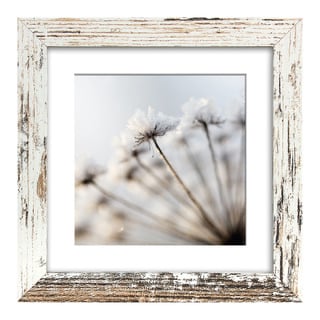 cadre The Frame