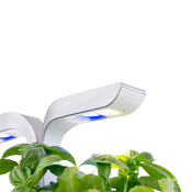 vaso per erbe Smart