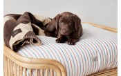 coperta per cani Oyanimal