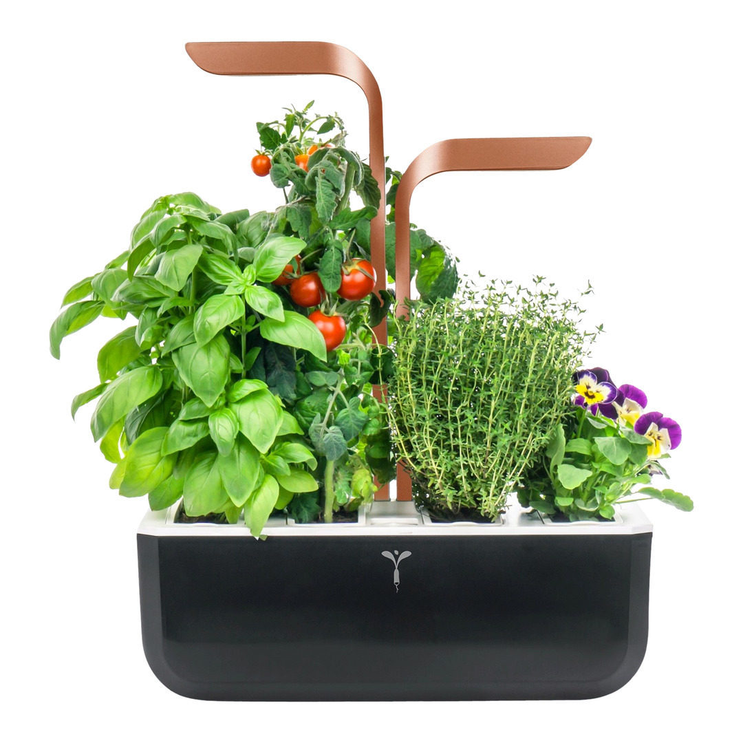 vaso per erbe Smart