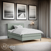 Boxspringbett Diplomat-Cont.