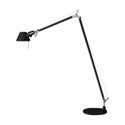 Standfuss Tolomeo