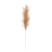 ramo decorativo Cosy-Grass