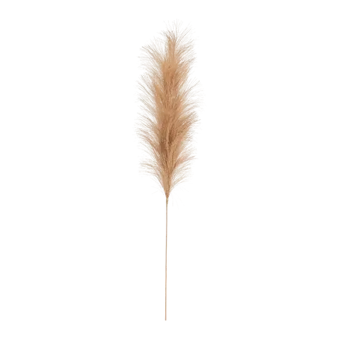 branche décorative Cosy-Grass