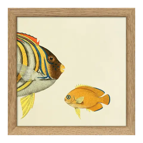Quadro con cornice BOTANICAL
