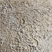 Dekovase Luna