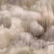 tapis à fibres faibles BEETLE DUNES