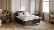 Boxspringbett Diplomat-Cont.