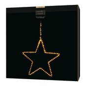 LED-Stern Outdoor Light