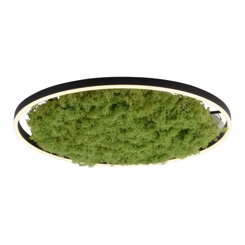 Deckenleuchte Green Ritus