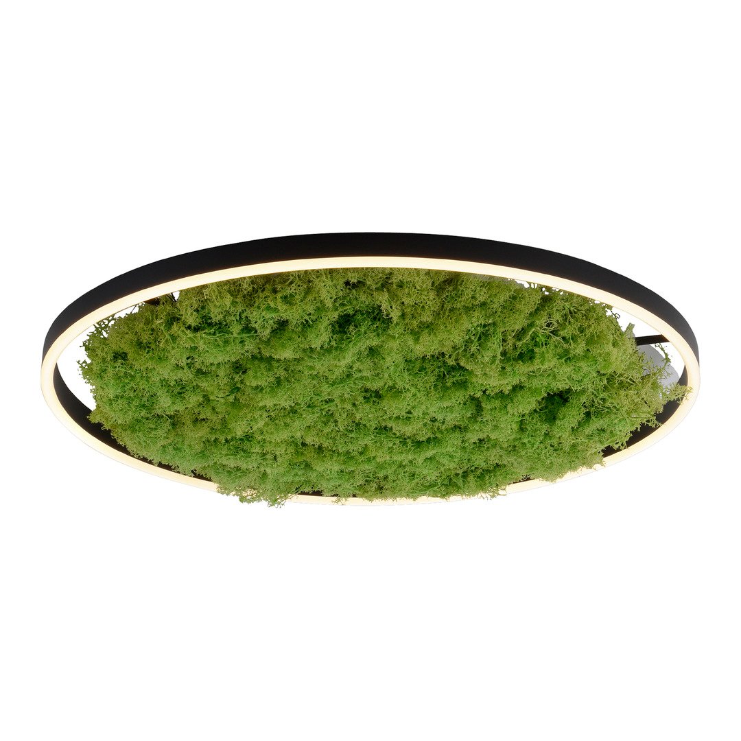Deckenleuchte Green Ritus