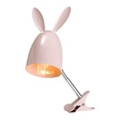spot Rabbit
