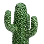 cactus decorativo Cacto