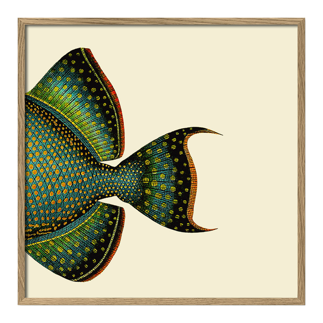 Tableau avec cadre BOTANICAL