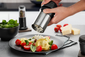 Käsereibe Parmigiano